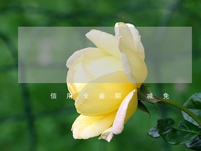 信用卡逾期 减免 信用卡逾期 减免